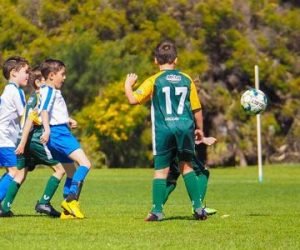 Juniors-1-p26gkflo9ofsijqcjtkuvnla1c30jusvc6vfj03dbs